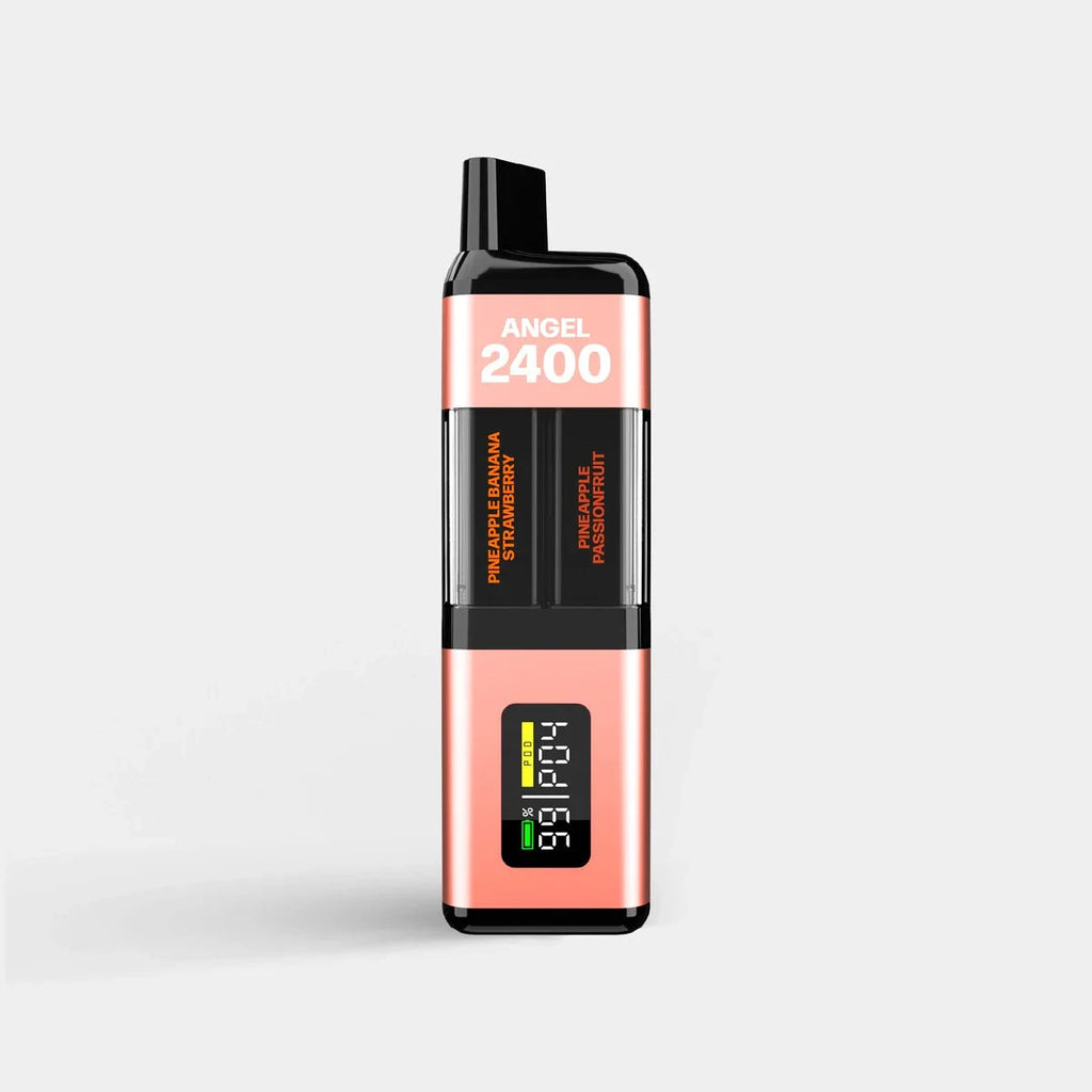 ANGEL 2400 CORAL EDITION ANGEL